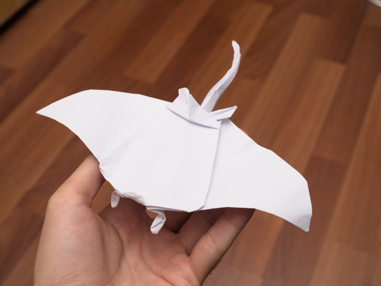 Nico&rsquo;s Manta ray, folded by me.