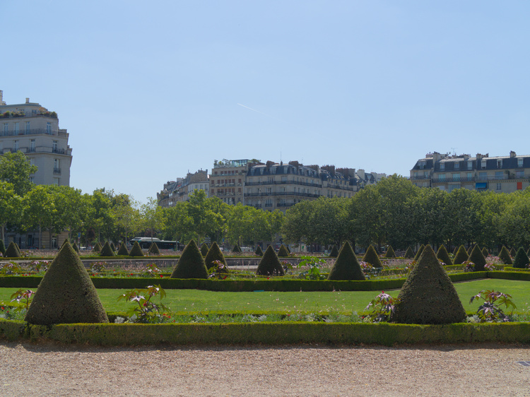 Cone-shaped bushes in Les Invalides.