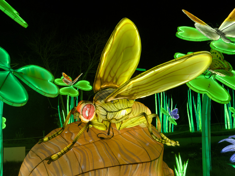 Escultura iluminada de una mosca.
