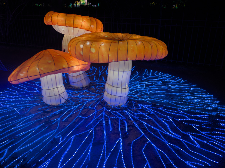 Escultura iluminada de unos hongos.
