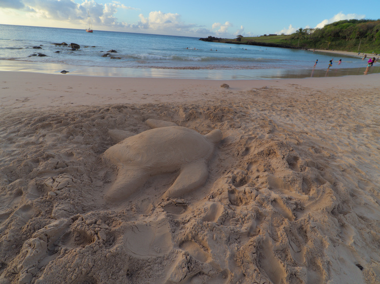 Alguien hizo una tortuga de arena antes que llegáramos a Anakena.