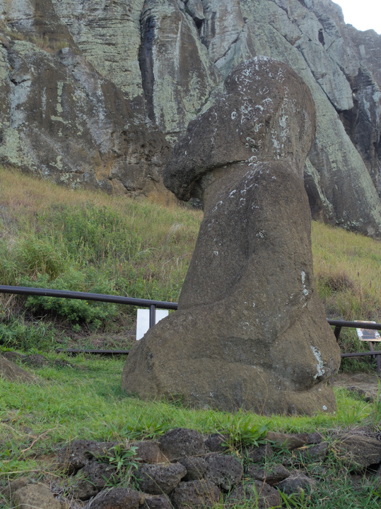 Entre las cosas únicas de Rano Raraku, está este moai con piernas.