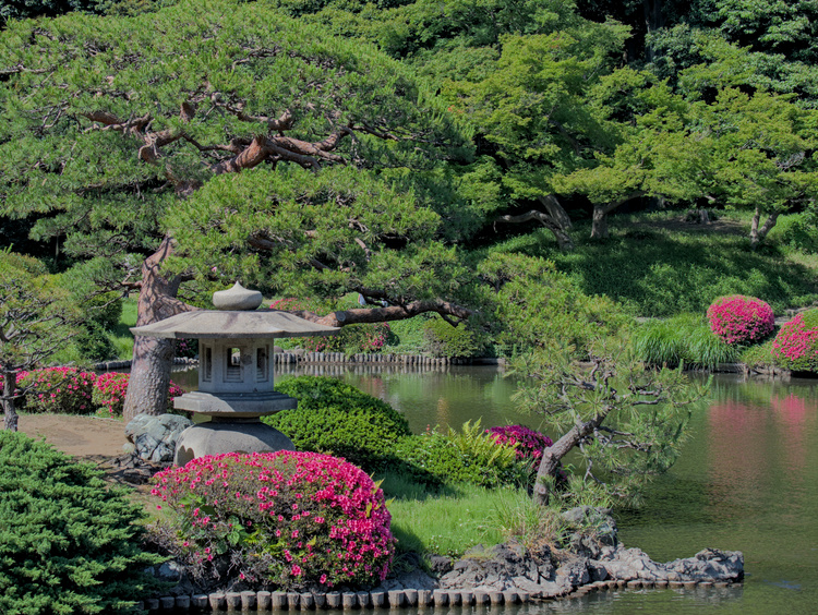 Las lámparas tōrō son un elemento típico en templos y jardines.