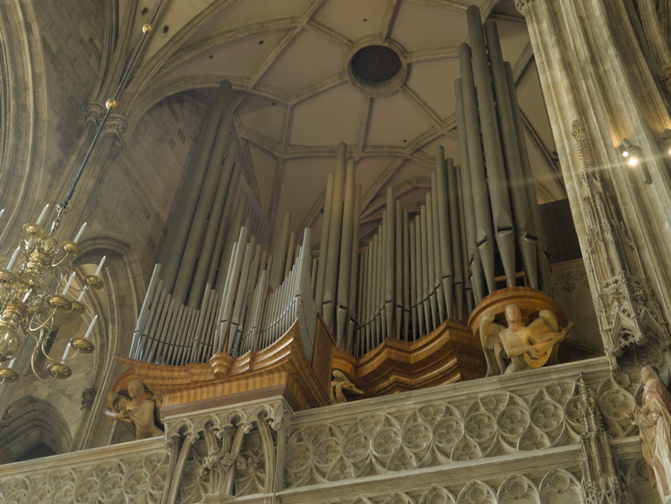 Órgano de la catedral.
